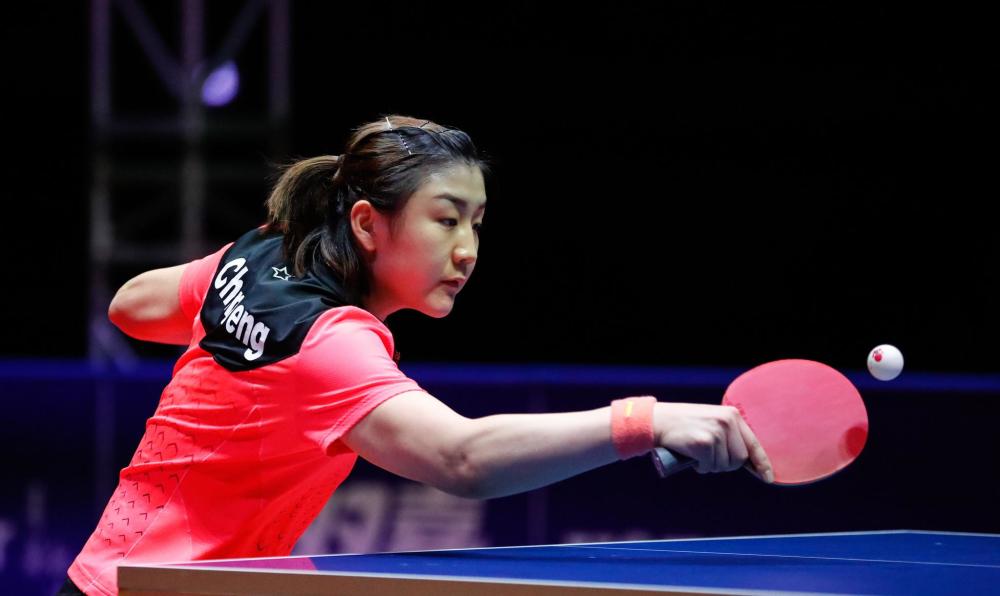 样化的背景 样化的背景