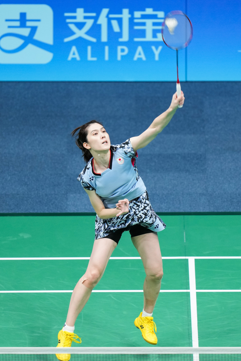 一次观赛体 一次观赛体