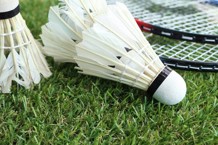 的成功秘诀 的成功秘诀